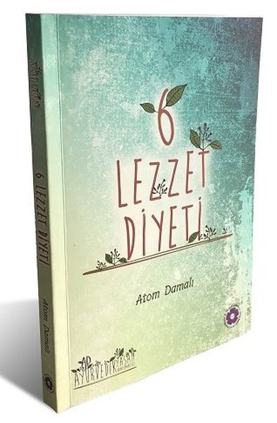 6 Lezzet Diyeti Atom Damalı