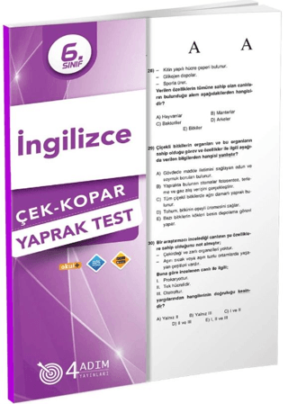 6. Sınıf İngilizce Çek Kopar Yaprak Test Kolektif