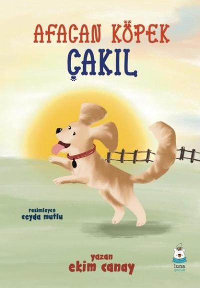 Afacan Köpek Çakıl Ekim Canay