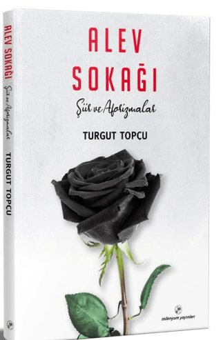 Alev Sokağı Turgut Topçu