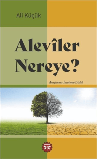 Aleviler Nereye Ali Küçük