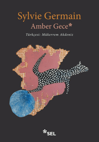 Amber Gece Sylvie Germain