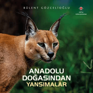 Anadolu Doğasından Yansımalar (Ciltli) Bülent Gözcelioğlu