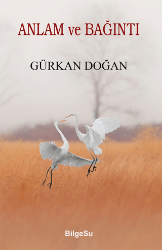 Anlam ve Bağıntı Gürkan Doğan