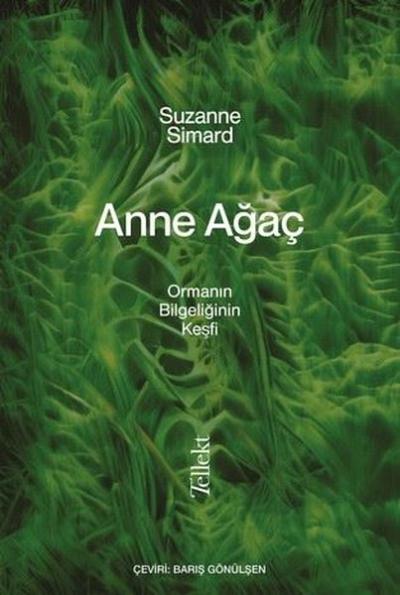 Anne Ağaç - Ormanın Bilgeliğinin Keşfi Suzanne Simard