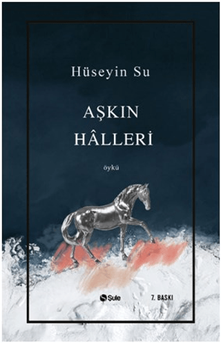 Aşkın Halleri %35 indirimli Hüseyin Su