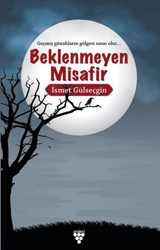 Beklenmeyen Misafir İsmet Gülseçgin