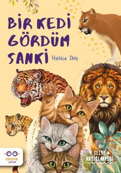 Bir Kedi Gördüm Sanki Hatice İbiş