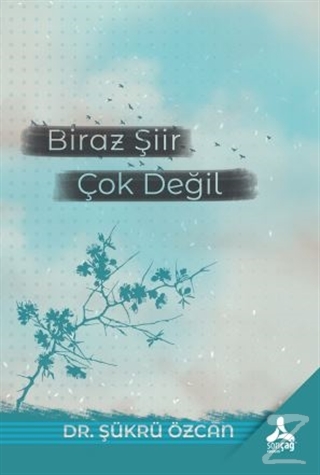 Biraz Şiir Çok Değil Şükrü Özcan