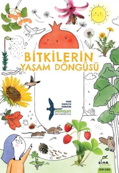 Bitkilerin Yaşam Döngüsü Takımyıldız