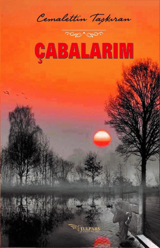 Çabalarım Cemalettin Taşkıran