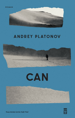 Can Andrey Platonov