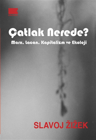 Çatlak Nerede? Slavoj Zizek