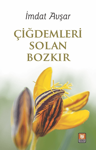 Çiğdemleri Solan Bozkır İmdat Avşar