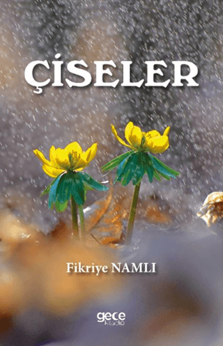 Çiseler Fikriye Namlı