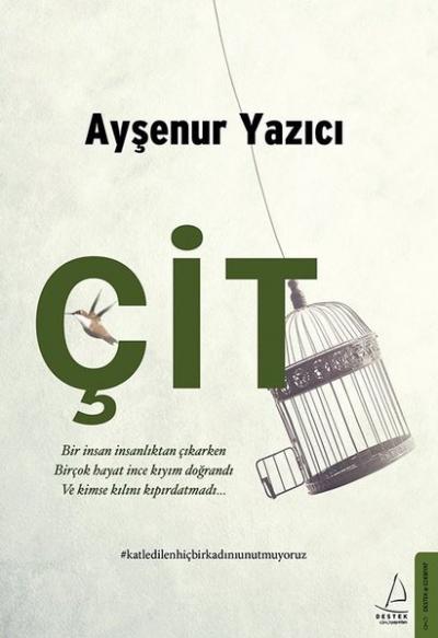 Çit Ayşenur Yazıcı