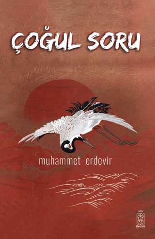 Çoğul Soru Muhammet Erdevir