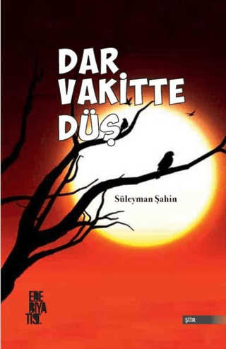 Dar Vakitte Düş Süleyman Şahin