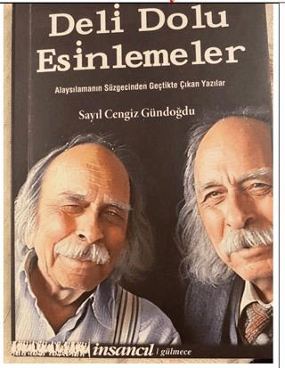 Deli Dolu Esinlemeler - Alaysılamanın Süzgecinden Geçtikte Çıkan Yazıl