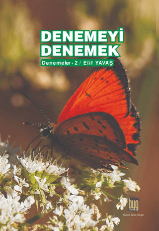 Denemeyi Denemek Elif Yavaş