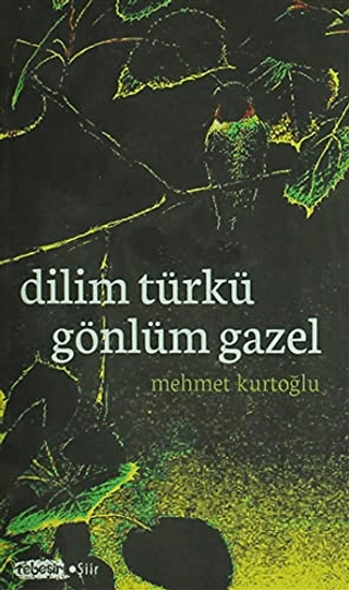 Dilim Türkü Gönlüm Gazel Mehmet Kurtoğlu