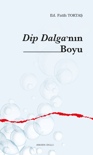 Dip Dalga’nın Boyu Fatih Toktaş