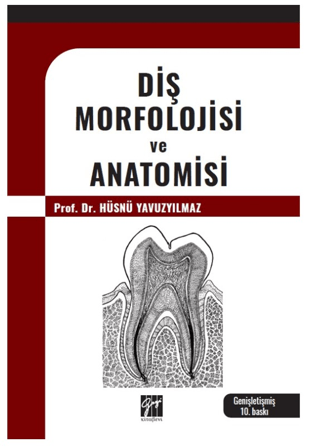 Diş Morfolojisi ve Anatomisi Hüsnü Yavuzyılmaz