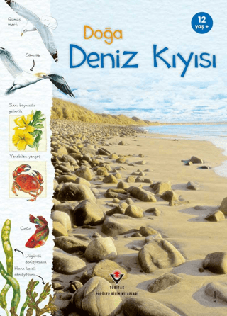 Doğa: Deniz Kıyısı Sarah Courtauld