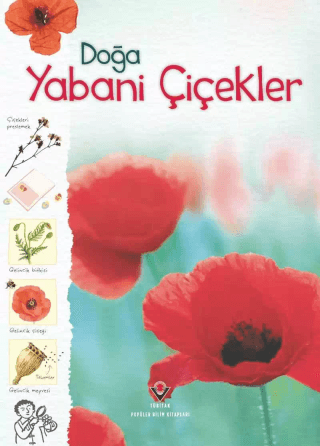 Doğa-Yabani Çiçekler Sarah Khan