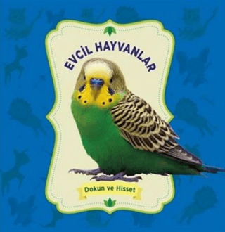 Evcil Hayvanlar - Dokun ve Hisset Kolektif