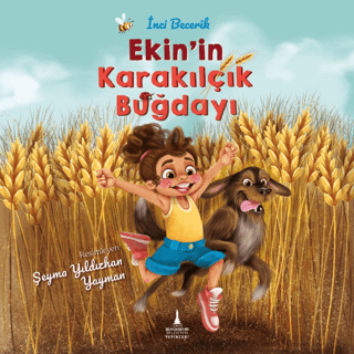 Ekin'in Karakılçık Buğdayı İnci Becerik