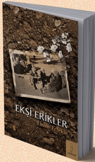 Ekşi Erikler Emine Ertekin