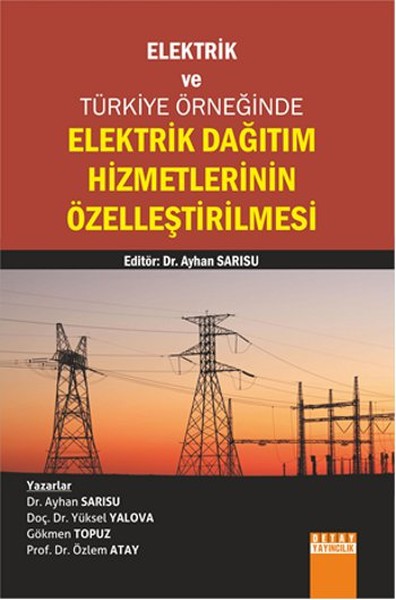 Elektrik Dağıtım Hizmetlerinin Özelleştirilmesi Ayhan Sarısu