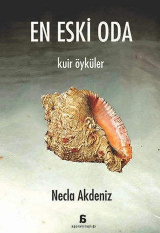 En Eski Oda - Kuir Öyküler Necla Akdeniz