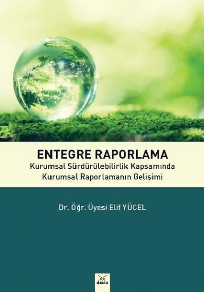 Entegre Raporlama Elif Yücel