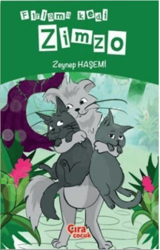 Fırlama Kedi Zimzo Zeynep Haşemi