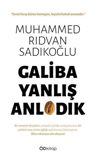 Galiba Yanlış Anladık Muhammed Rıdvan Sadıkoğlu