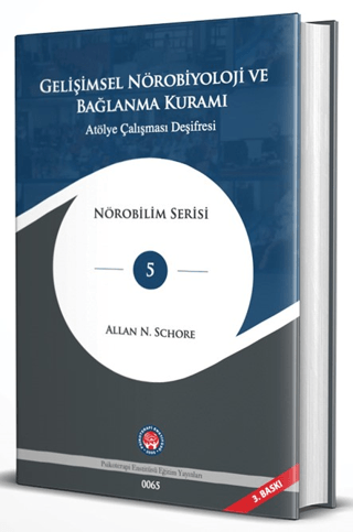 Gelişimsel Nörobiyoloji ve Bağlanma Kuramı - Atölye Çalışması Deşifres