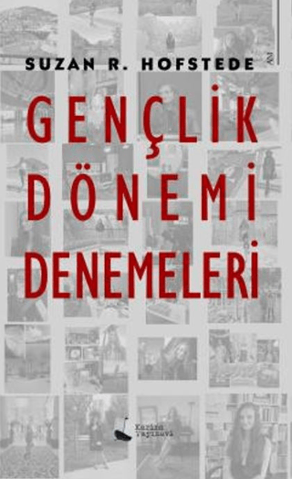 Gençlik Dönemi Denemeleri Suzan R. Hofstede