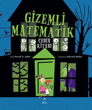 Gizemli Matematik David A. Adler