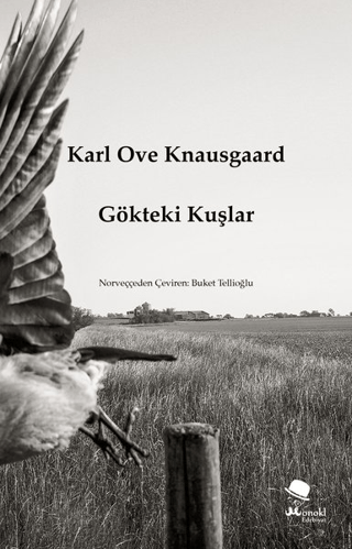 Gökteki Kuşlar Karl Ove Knausgaard