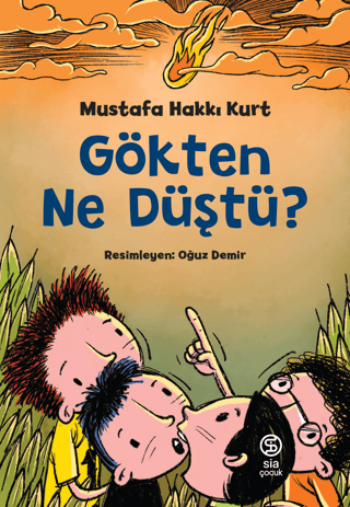 Gökten Ne Düştü? Mustafa Hakkı Kurt