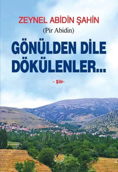 Gönülden Dile Dökülenler Zeynel Abidin Şahin