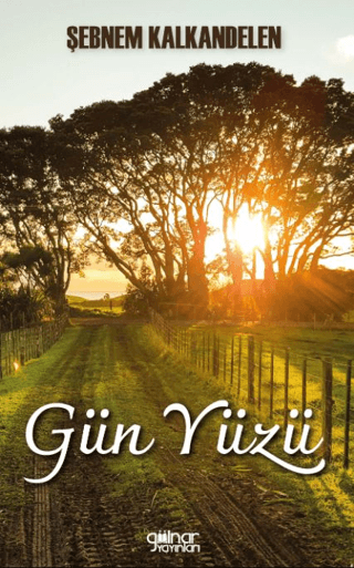 Gün Yüzü