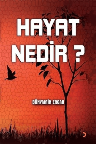 Hayat Nedir? Bünyamin Ercan