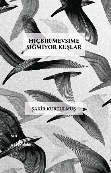 Hiçbir Mevsime Sığmıyor Kuşlar Şakir Kurtulmuş