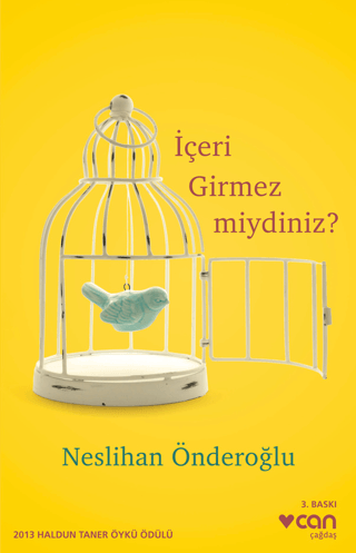 İçeri Girmez miydiniz? Neslihan Önderoğlu