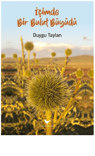 İçimde Bir Bulut Büyüdü Duygu Taylan