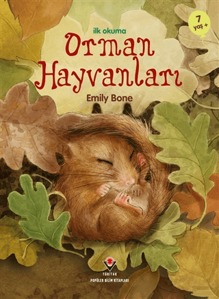 Orman Hayvanları - İlk Okuma Emily Bone