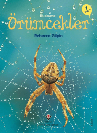 Erken Çocukluk Kitaplığı - Örümcekler Rebecca Gilpin